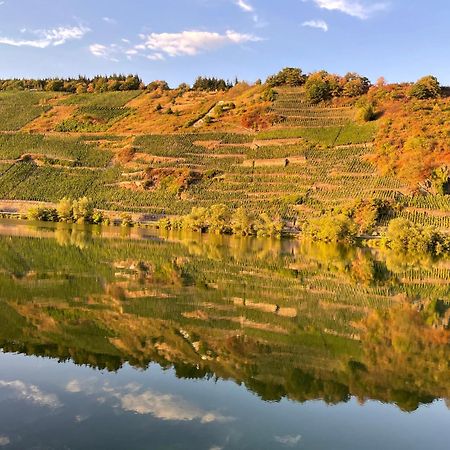 Neue Loft Im Alten Kelterhaus - Urlaub Im Wein- Und Ferienort Bekond Екстериор снимка