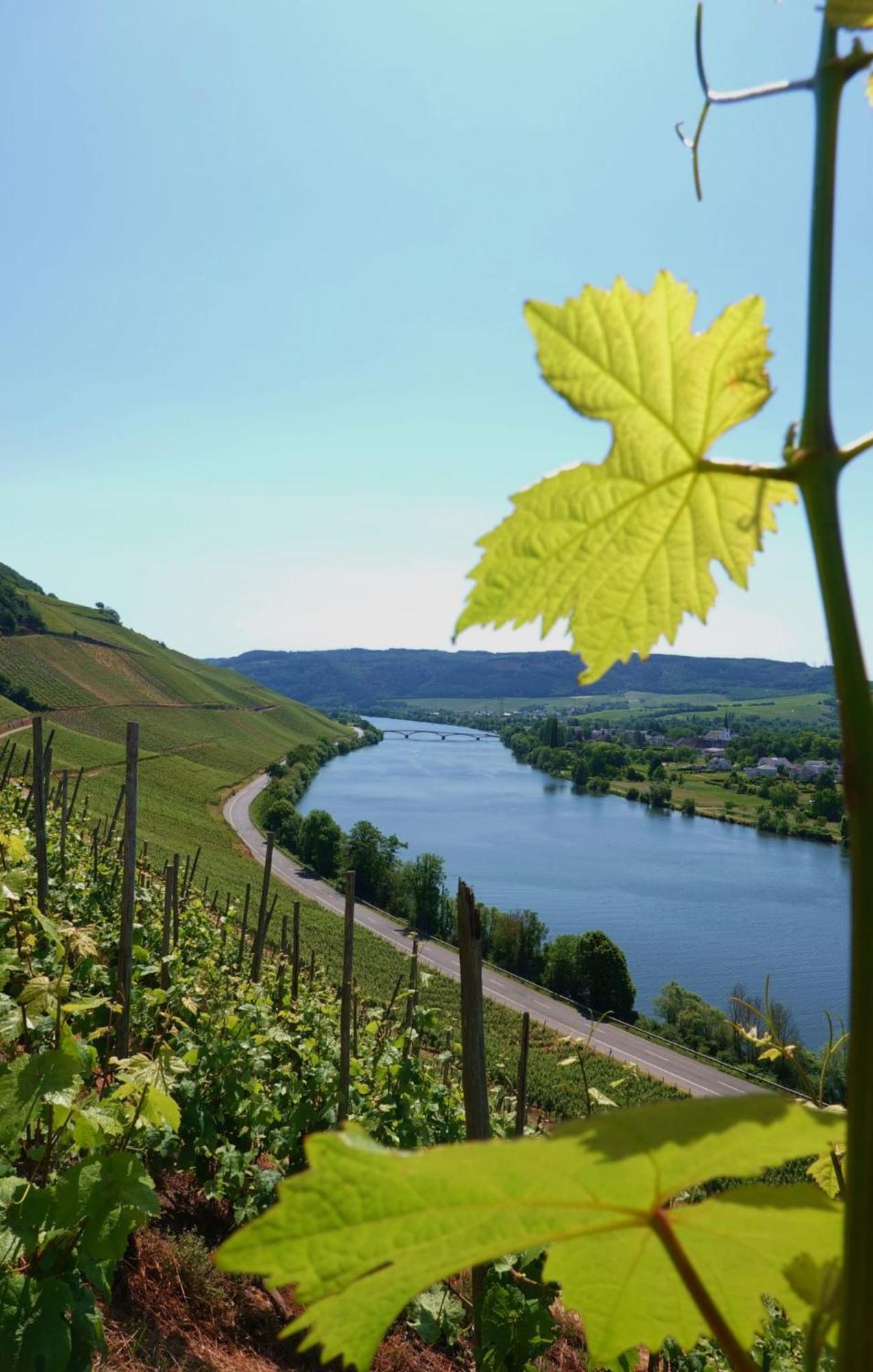 Neue Loft Im Alten Kelterhaus - Urlaub Im Wein- Und Ferienort Bekond Екстериор снимка